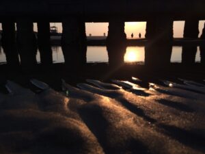 Elmagányosodás (Fotó: Baska Barbara)